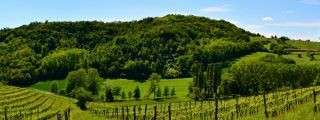 Paesaggio vitivinicolo del Monferrato